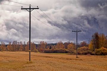 Telephone Lines Under The Autumn Skies