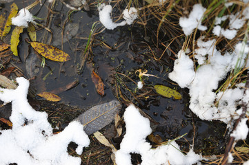 After the first snowfall