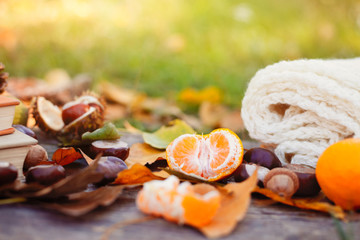 Fallen autumn leaves with blanket and tangerine