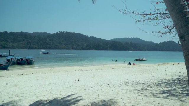 Shot through Palm trees in Pulau Beras Basah, Langkawi.