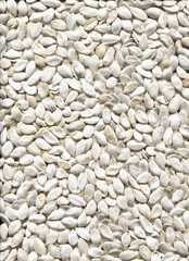 Pumpkin seeds. Background.