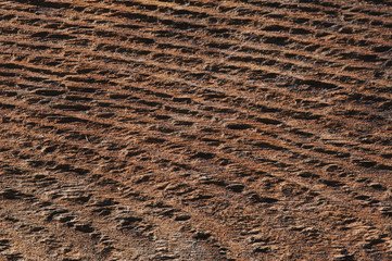 wooden texture
