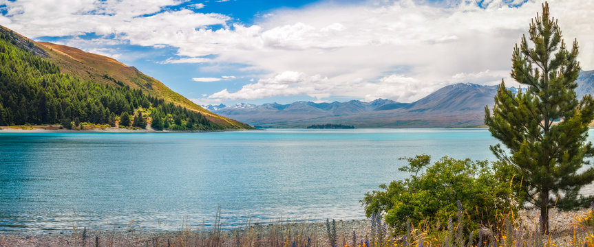 On the shore of Lake Tekapo fringed by the Southern Alps in Canterbury, New Zealand 