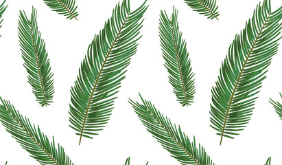 Seamless pattern with sago palm tropical seeded branch, green leaves cute wallpaper watercolor style. Vector boho elegant print isolated on white background
