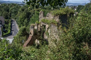 Fototapeta na wymiar Burg Sayn im Westerwald