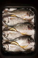 Dorade with lemon and spice on salt crust