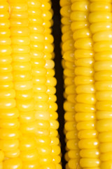 Yellow corn macro. 