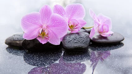 Fotobehang Badkamer Spa achtergrond met roze orchidee en steen.