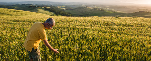 Wheat field