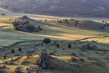 Beautiful landscape in the morning light with old peaks, rocks and trees, Dobrogea, Romania