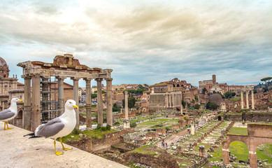 Fototapeta na wymiar the Roman Forum ruins archaeological museum Rome Italy capitol City