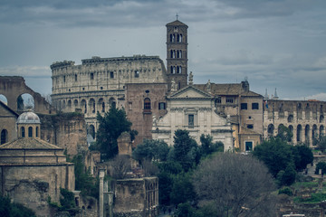 Fototapeta premium the Roman Forum Rome antique architecture ruins Italy