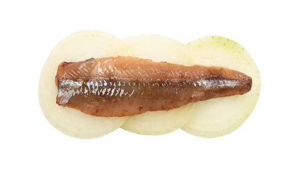 Anchovy filet isolated