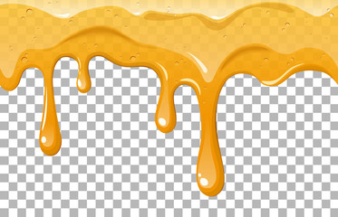 Dripping  honey vector illustration