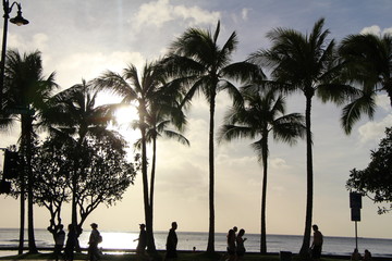 Palms Waikik Beach