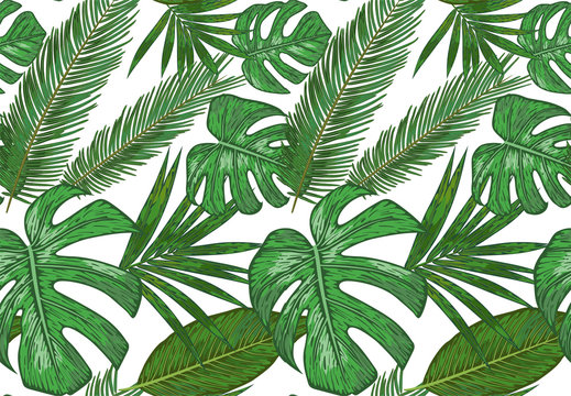 Vector  Seamless pattern of various tropical palm leaves. background of green foliage on a white.