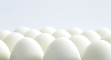white eggs on a white background