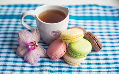 Colorful french macaroons