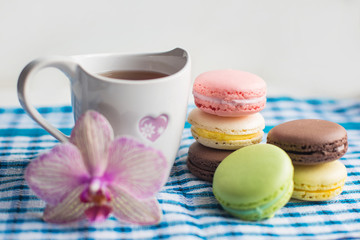 Colorful french macaroons