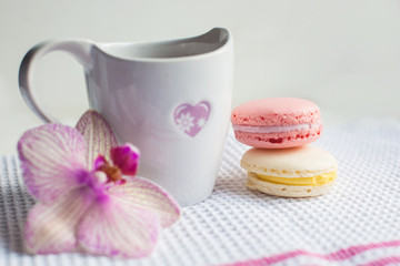 Colorful french macaroons