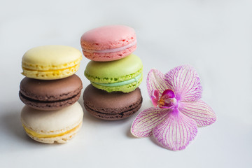 Colorful french macaroons