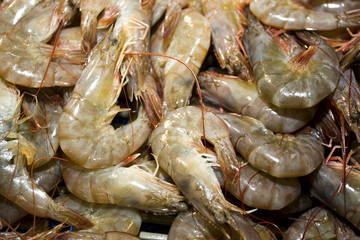 Camarones crudos