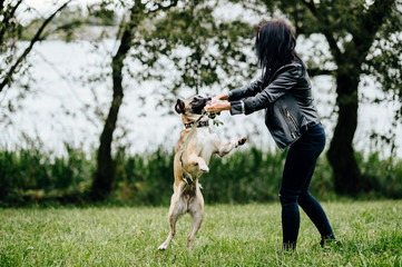 Young active guardian of animals girl playing and have fun with her furious frisky fast joyful dog outdoor in summer. Cute female owner walking with comic muzzle crazy puppy. Kind woman cares canine.