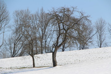 Landschaft
