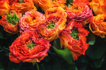 Red roses with green middle of the original selection of a large bouquet on sale in the flower market .