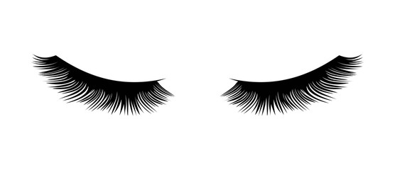 Eyelashes vector illustration