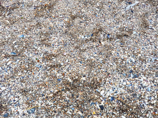 Background Texture of sand