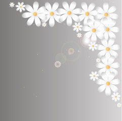 Vector background of chamomiles. Spring background