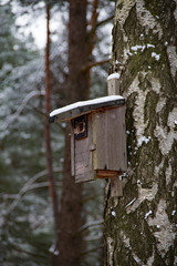 Vogelhaus am Baum mit Schnee