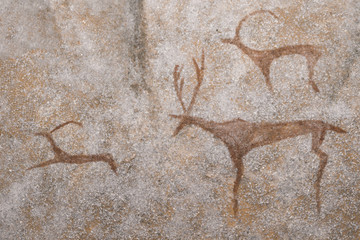 images of ancient mam malian animals on the wall of the cave. ancient hunting. era, era.