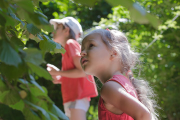 Obraz premium Two siblings playing hide-and-seek among common hazel bush hedgerow in summer wood