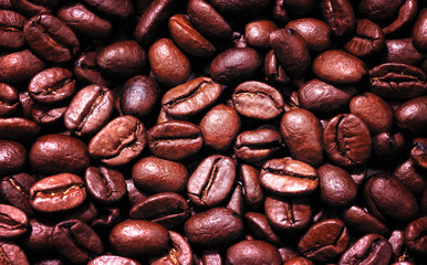 coffee beans