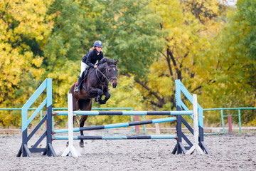 Young rider girl on bay horse jumping over barrier on equestrian sport competition. Horseback girl on show jumping contest