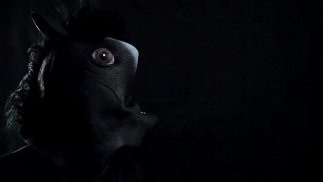 Strike a hand over the muzzle of the horse's mask in slow motion on a black background