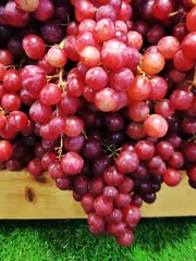 Purple grapes produce from farmers in Thailand.