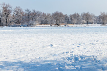 Winter rural landscape with snowy meadow and trees covered with snow