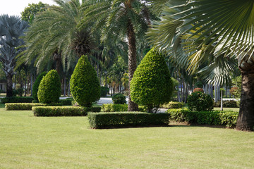 Fototapeta premium Thailand Samut Prakan: Observation Tower & Knowledge Park, flower & brick, street snap local town