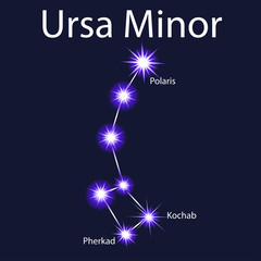 Obraz premium Illustration constellation Ursa Minor with stars Pherkad, Kochab, Polaris in the night sky