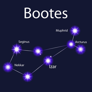 Illustration constellation  Bootes with stars Muphrid, Seginus, Izar, Nekkar, Arcturus in the night sky
