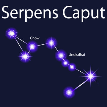 Illustration constellation  Serpens Caput with stars Unukalhai, Chow in the night sky