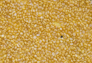 Closeup yellow beans background, yellow seed texture for agriculture background