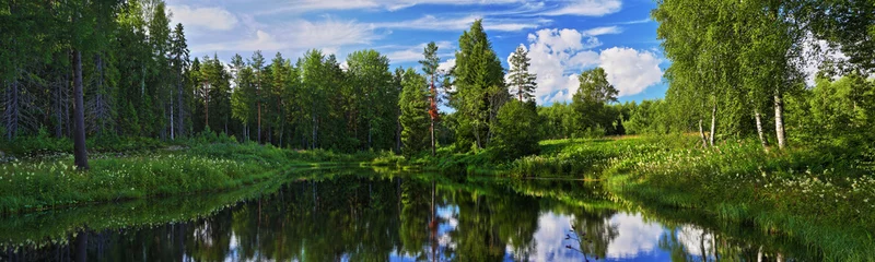 Fotobehang Panorama van bosmeer © parsadanov