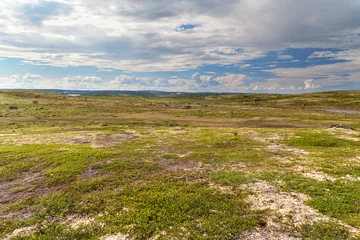 Cercles muraux Arctique Paysage de toundra dans le nord de la Russie