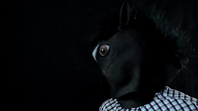 Strike a hand over the muzzle of the horse's mask in slow motion on a black background