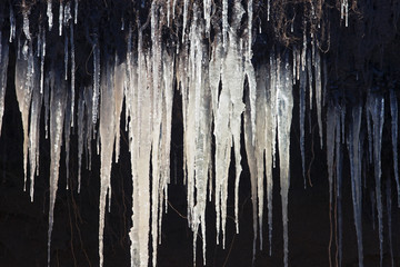 lots of shiny icy icicles hang