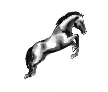 Sumi-e illustration of a horse leaping, moving to the right. Oriental ink painting, isolated on white background.